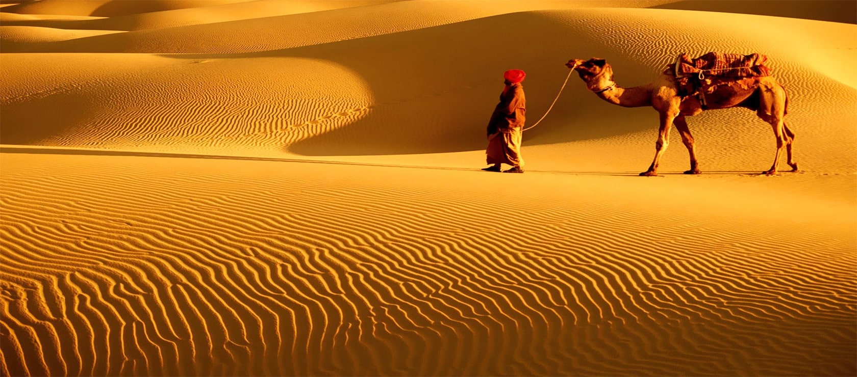 Desert Triangle Luxury Tours in India 